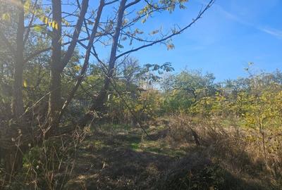 Teren intravilan de vanzare 3457 mp Ploiesti Bucov Teren intravilan de vanzare 3457 mp Ploiesti Bucov - 8