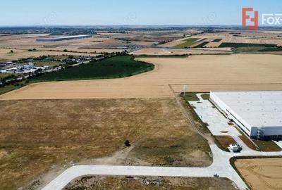 Teren de 7150 mp, în Șagului - 8