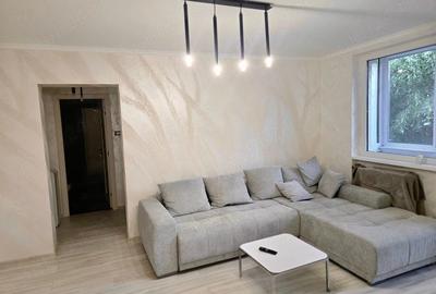 Apartament cu 2 camere decomandat, mobilat în Podgoria - 3