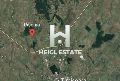 Teren intravilan Pischia - 3