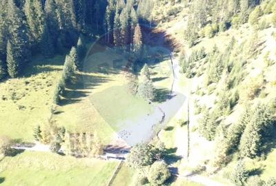 Teren 9555mp, din care 6120m.intravilan Vatra Dornei. - 5