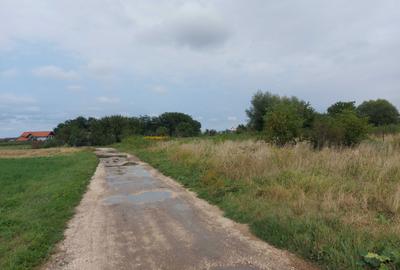 Spațiu comercial, în Stupini - 3