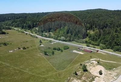 Teren 5,561mp Paltinoasa / Strada principala - 7