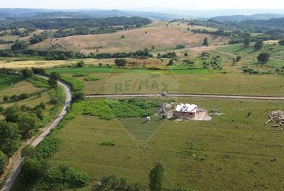 Teren 9,900mp Berinta cu deschidere la 2 drumuri. - 3