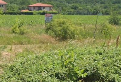 Teren de 3941 mp, în Ciofliceni