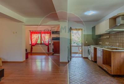 Casa CU POVESTE rezidential/ vacanta in Teliu cu 1700 mp teren! - 7