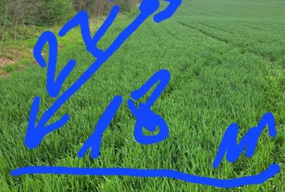 Teren Frumusani 4374 mp - 2