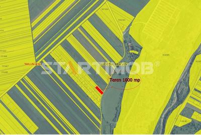 Teren Intravilan Tarlugeni - 3
