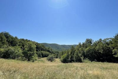 Teren de 45809 mp, în Mădrigești - 7