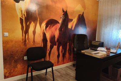 Apartament cu 4 camere decomandat în Viziru 3 - 3