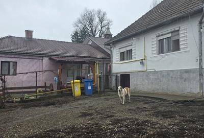 Casă cu 4 camere în Zoreni - 5