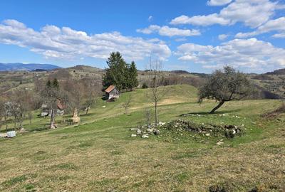 Teren de 23000 mp, în Sohodol - 5