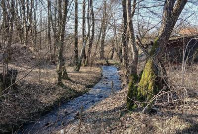 Casă cu 3 camere cu Teren 7700 Mp în Nojag - 2