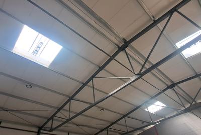 Drumul intre Tarlale, sector 3, hala 590 mp - 11