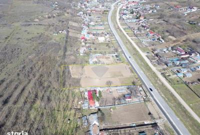 Teren de 5313 mp, în Vânători - 1