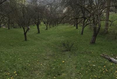 Spațiu comercial, în Berbești - 2