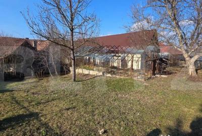 Casă cu 3 camere cu Teren 3000 Mp în Central - 6