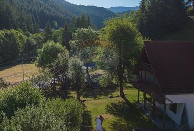 Casa / Vila cu 6 camere, in inima naturii, comision zero pt cumparator - 7