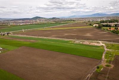 Teren agricol intravilan de 10000 mp, în Griviței - 8