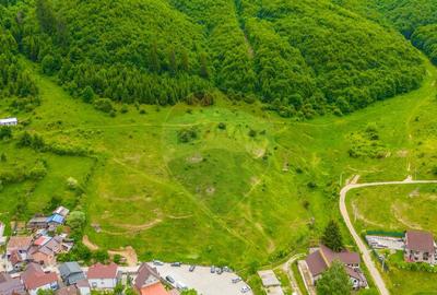 COMISION 0% Teren de 8529 mp/Bunloc/Intravilan - 8