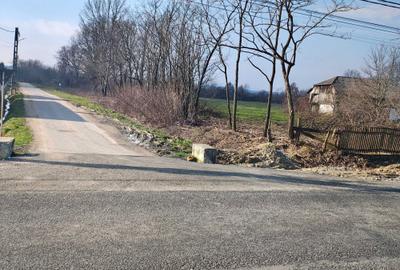 Teren de 1000 mp, în Pomi - 1