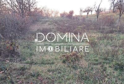 Teren de 3100 mp, în Central - 7