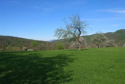 Teren Intravilan  in Luncoiu de Jos, Jd Hunedoara - 11