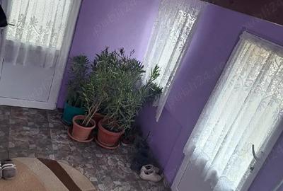 Casă cu Teren 738 Mp în Pișchia - 6