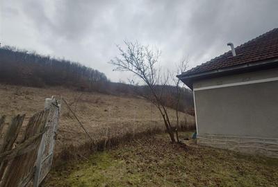 Casă cu 3 camere cu Teren 12861 Mp în Luncoiu de Jos - 16