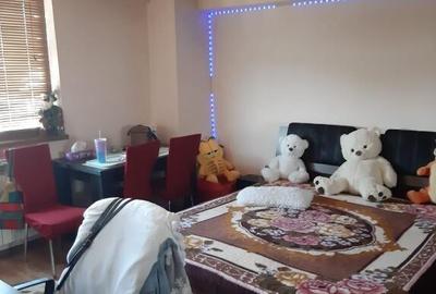 Garsoniera Calea Calarasilor/Viziru - 2