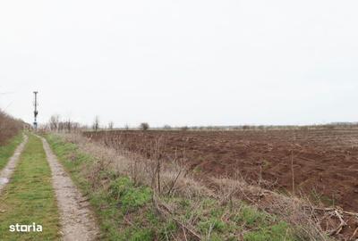 Teren de 4000 mp, în Central - 3