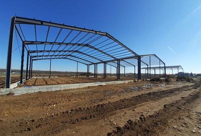 Hale de vanzare in Afumati - 2