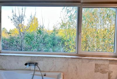 Vila superba in cartier de lux Pipera - piscina exterioara - gradina Vila superba in cartier de lux Pipera - piscina exterioara - gradina - 11