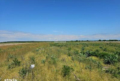 Teren de 10900 mp, în Băleni - 1