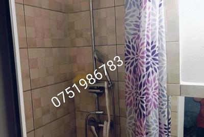 Apartament cu 2 camere nedecomandat în Tătărași - 1