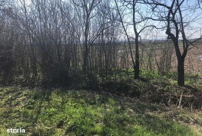 Teren de 3500 mp, în Medieșu Aurit - 1