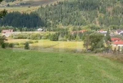 Teren de 16688 mp, în Șaru Dornei - 5