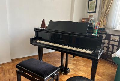 Vila Piata Victoriei Vila Piata Victoriei - 8