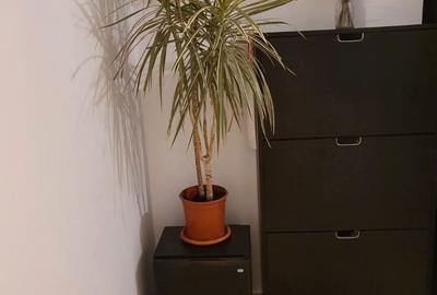 Rams Garsoniera Basarabia Parc Metrou - 1