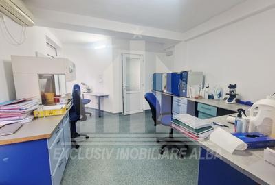 Spațiu comercial, de 400 mp, în Cetate - 4