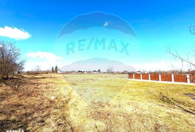 Teren de 921 mp, în Gherăiești - 5