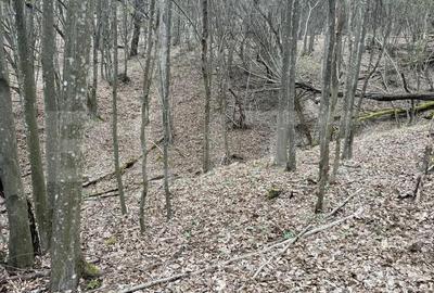 Teren de 3500 mp, în Central - 5