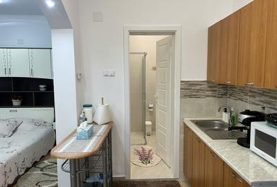 Apartament cu 2 camere semidecomandat în Dosu Bricii - 1