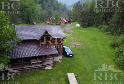 Teren agricol extravilan de 26000 mp, în Remeți