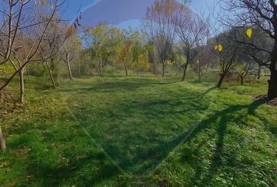 Casă cu 5 camere cu Teren 583 Mp în Sud - 3