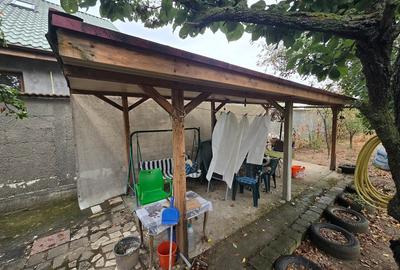 Magurele/Darasti-Ilfov/Vila individula cu crama,garaj,foisor,livada si solar - 20
