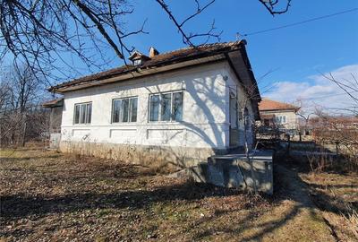 Casă cu 3 camere cu Teren 3077 Mp în Bogdănești (Oteșani) - 1