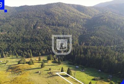 Teren situat in Frasin | BUCOVINA - 2