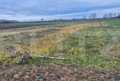 Teren intravilan de vanzare, 15 ari, in Odoreu - 2