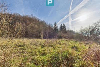 Casă în Roșia - 4